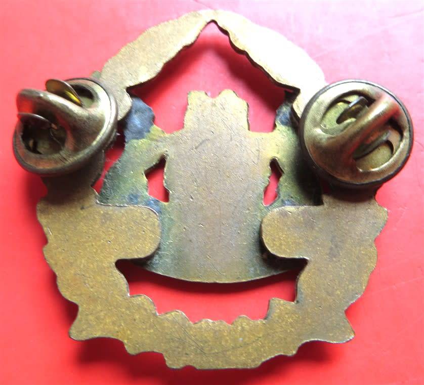 SA Prisons Service Warrant Officer Arm Badge