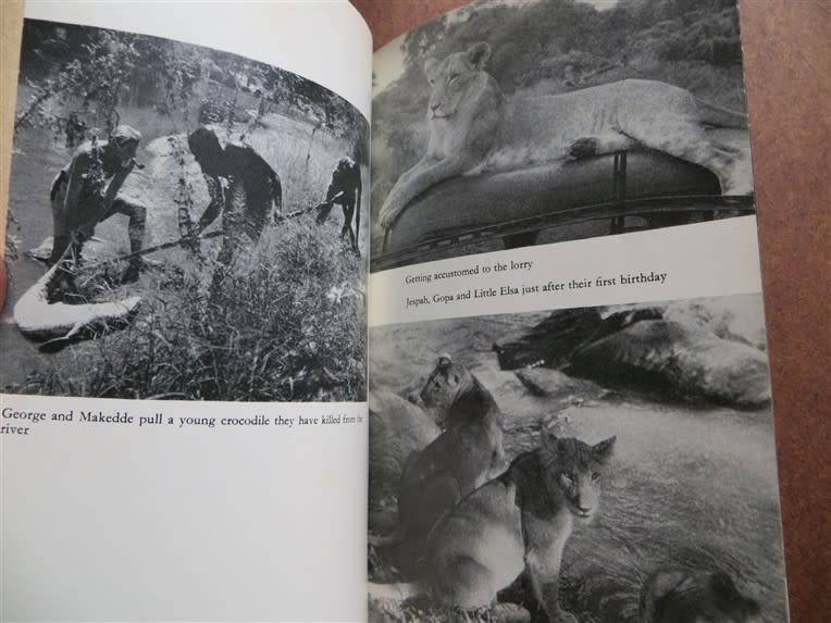 Forever Free - Elsa`s Pride - Joy Adamson