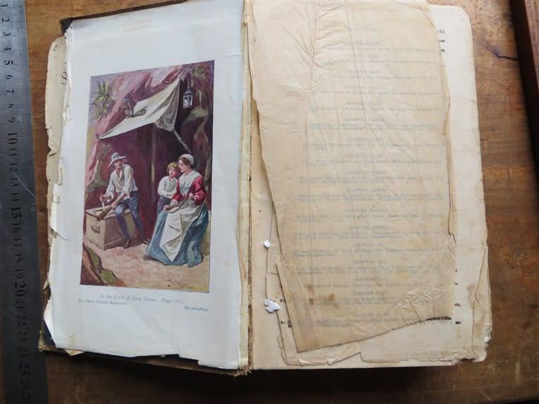 The Adventures of the Swiss Family Robinson - H.Frith - Illustrated