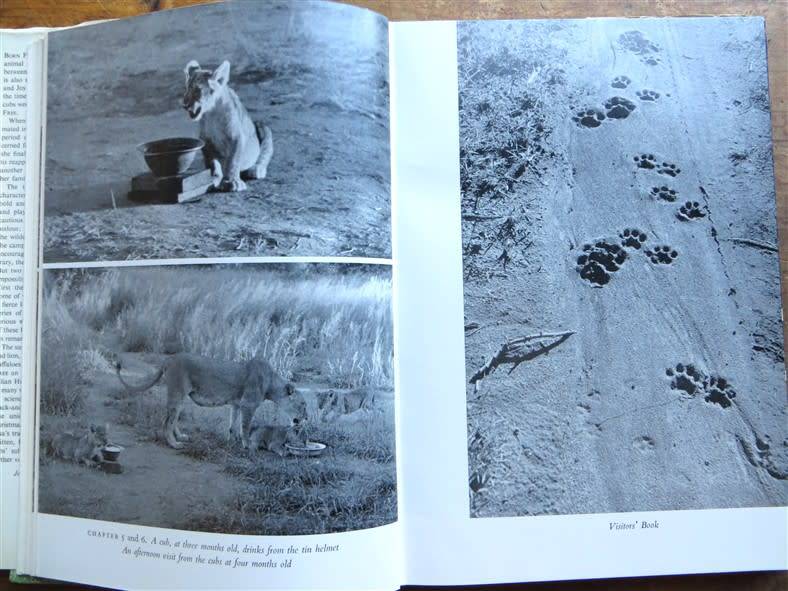 1961 Living Free - Joy Adamson - The Story of Elsa & Her Cubs