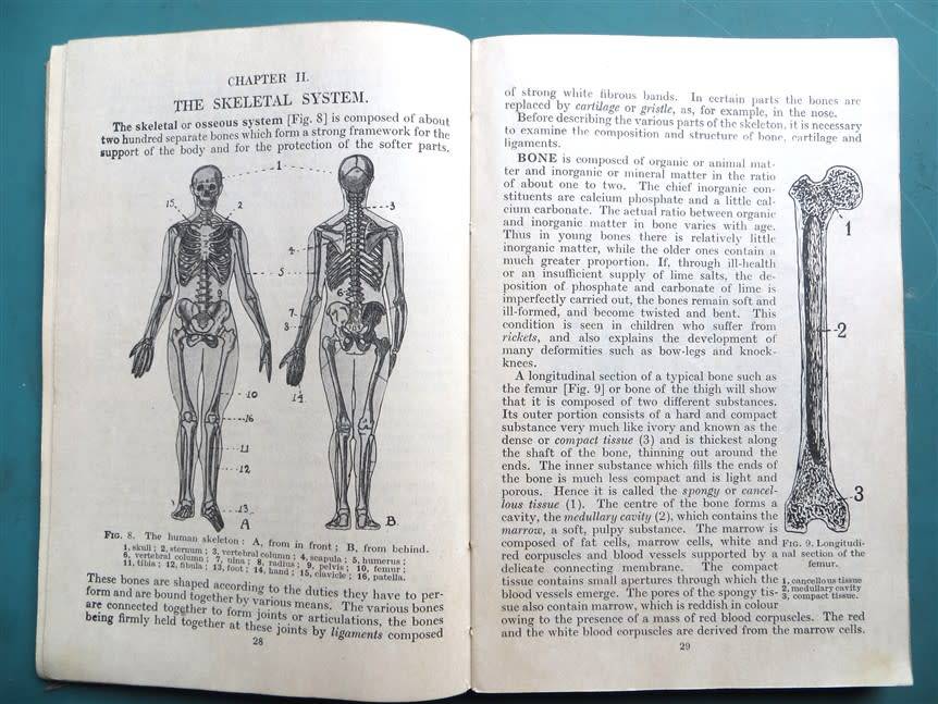 Physiology & Hygiene for South African Schools  - van Bonde & De Villiers
