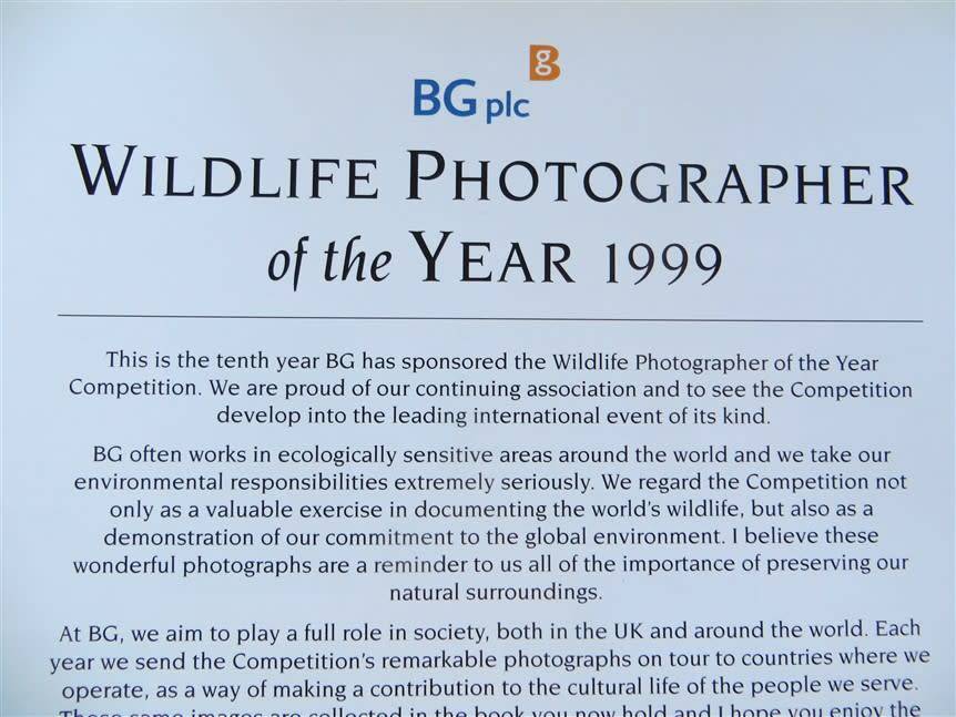 Wildlife Photographer of the Year - Hardcover - Great Pics
