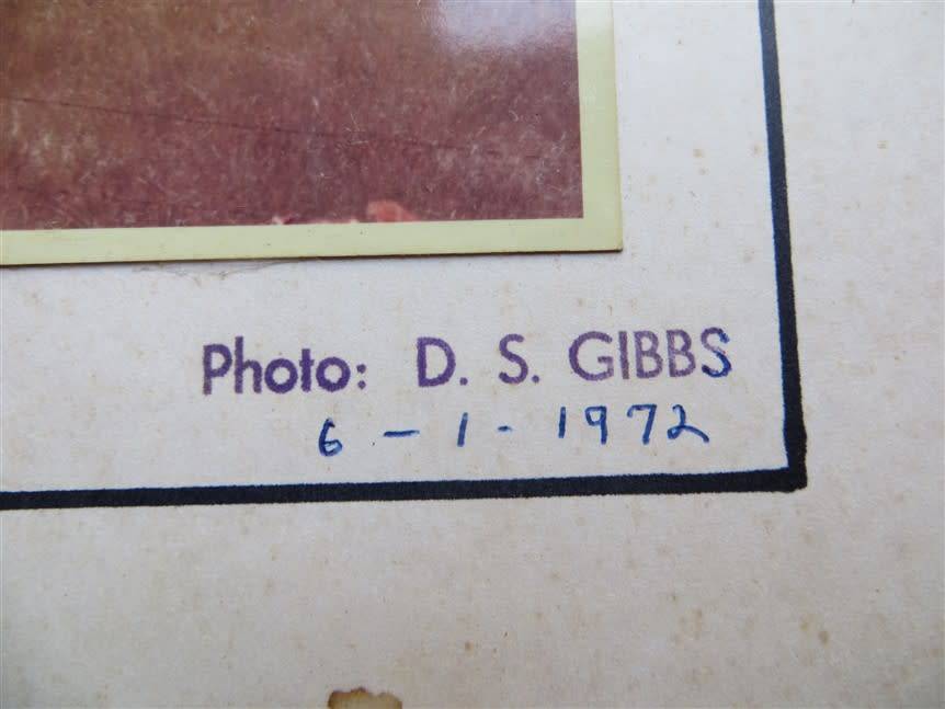 SAR/SAS Original Steam train photo 250mmx190mm - D.S Gibbs 1972 - Foxing present