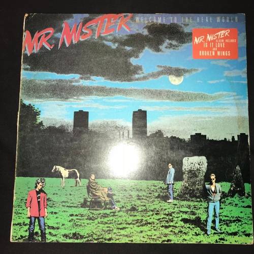 Mr Mister - Is It Love (LP) Vinyl Record (2nd Record)
