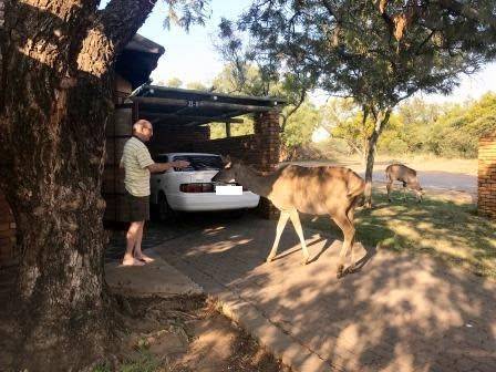 Dikhololo - 7 nights 18 to 25 October 2019 for 4 people