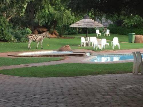 Dikhololo - 7 nights 18 to 25 October 2019 for 4 people