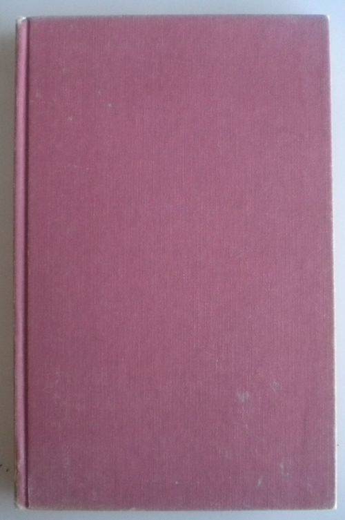 'n Huis vir Nadia deur Dalene Matthee