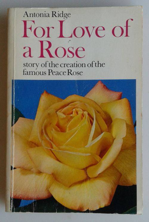 For love of a rose by Antonia Ridge