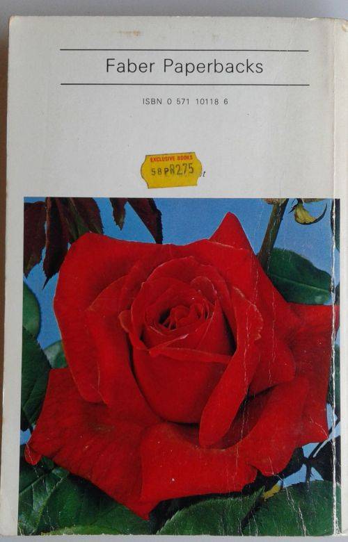 For love of a rose by Antonia Ridge