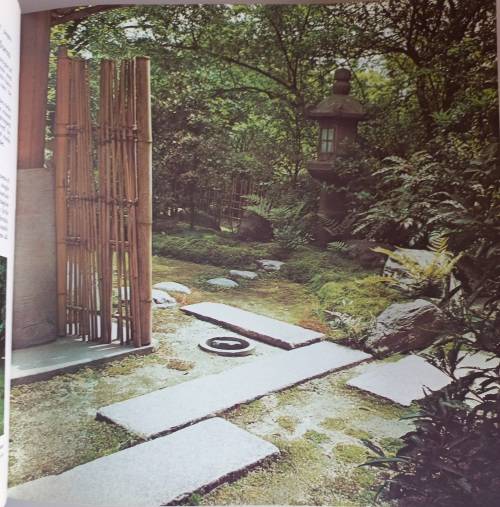 Practical guide to home landscaping