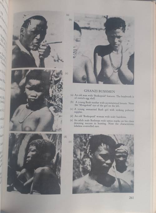 Images of humanity by Phillip V Tobias