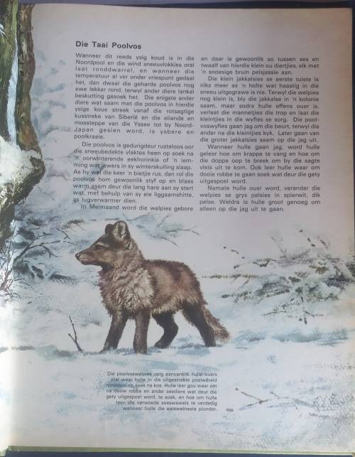 Babadiertjies van Asie