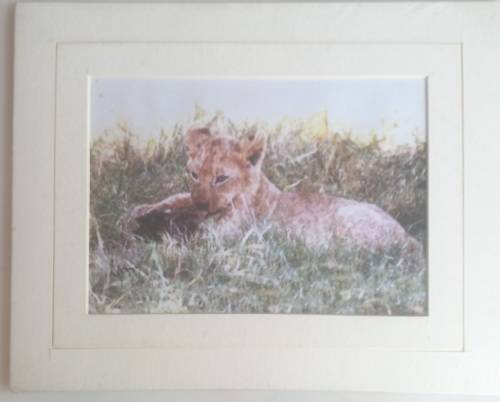 The Koping collection (Brian Koping) print