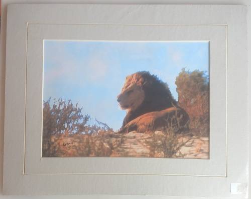The Koping collection (Brian Koping) print