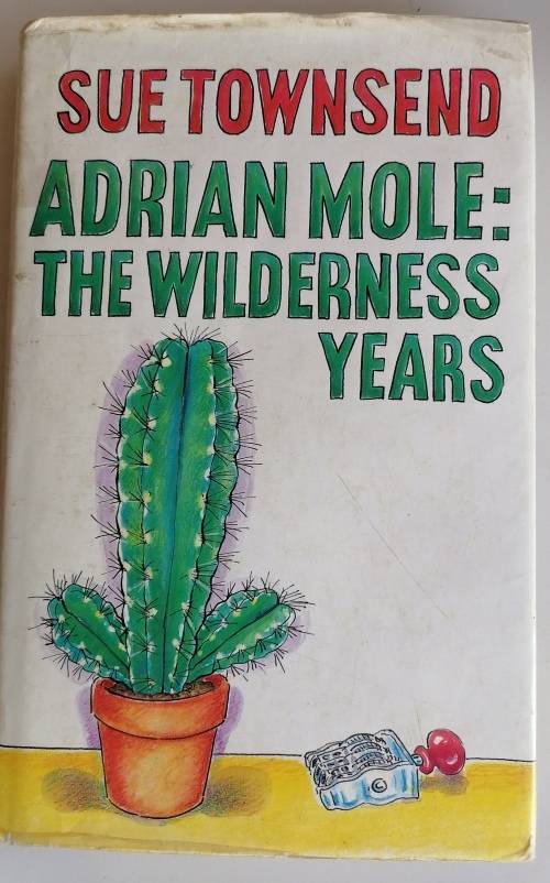 Adrian Mole: The wilderness years by Sue Townsend