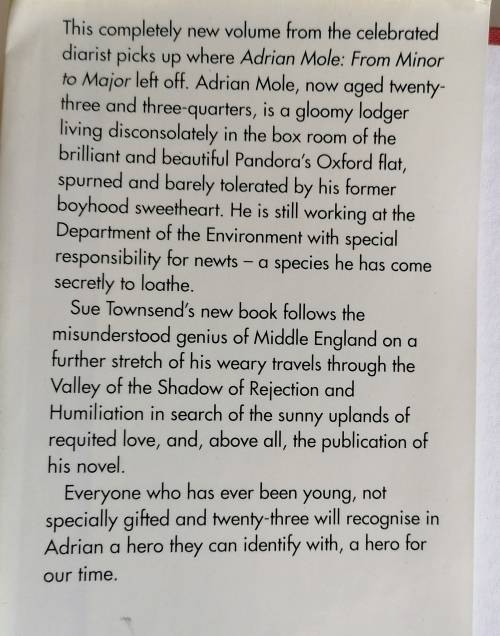 Adrian Mole: The wilderness years by Sue Townsend