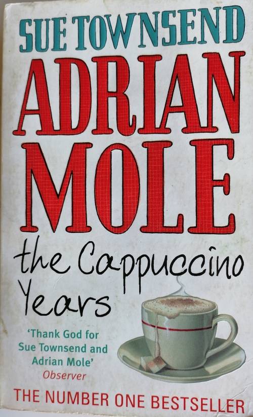 Adrian Mole the cappuccino years by Sue Townsend