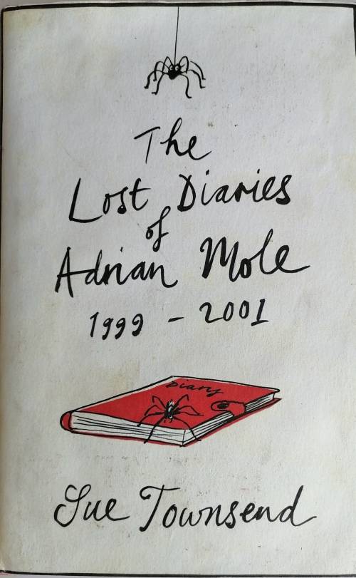 The lost diaries of Adrian Mole 1999-2001 by Sue Townsend