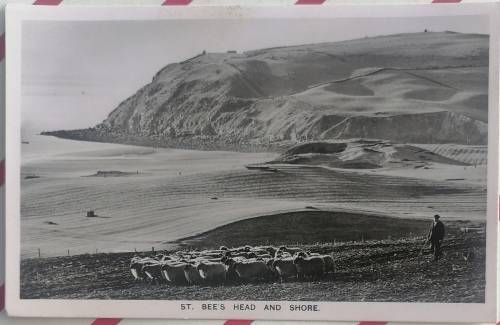 Vintage postcard: St. Bee`s head and shore