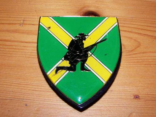 SADF~DANIE THERON COMBAT SCHOOL~RIGHT HAND~METAL~SHOULDER FLASH~PINS INTACT
