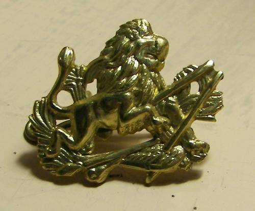 RHODESIAN-BRITISH SOUTH AFRICAN POLICE~BSAP~ANODISED STAYBRIGHT COLLAR BADGE~1970's