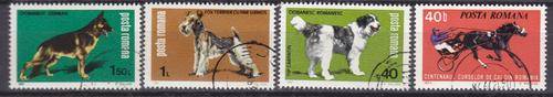 4 BEAUTIFUL THEMATIC STAMPS - DOGS - ROMANIA