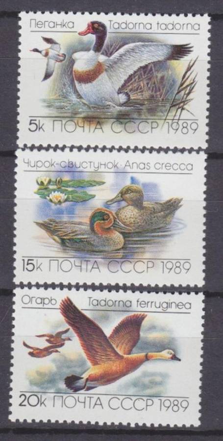 3 BEAUTIFUL THEMATIC STAMPS - BIRDS - DUCKS - RUSSIA