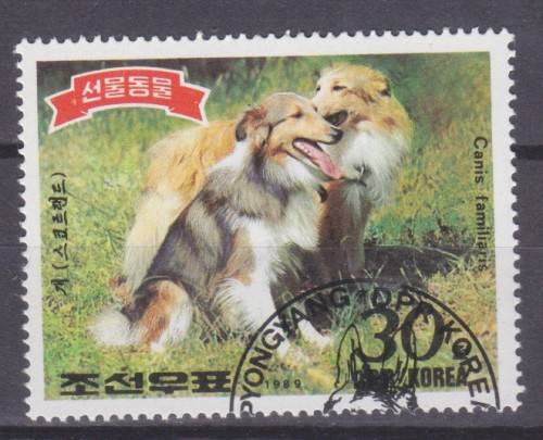 BEAUTIFUL THEMATIC STAMPS - COLLIE DOGS  - KOREA