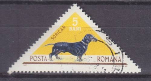 BEAUTIFUL THEMATIC STAMPS - DOGS - ROMANIA