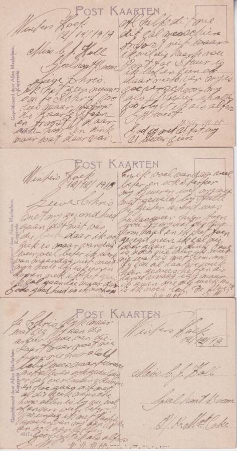 3X EARLY AFRIIKAANS POSTCARD EARLY 1900 - NIEMAND DAN GY ALLEEN - SCARCE