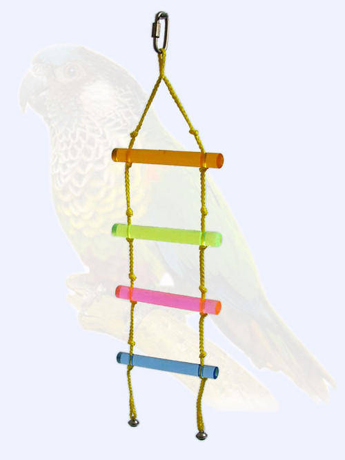 NEW acrylic parrots toy