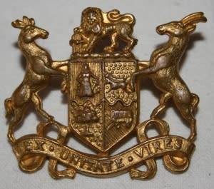 Ex Unitate Vires Pin