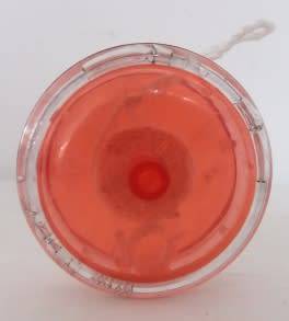 Yo-Yo