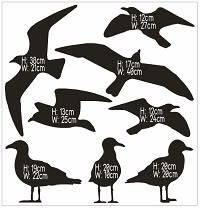 Vinyl Decals Wall Art Stickers - Seagull Set
