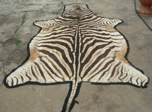 ZEBRA SKIN