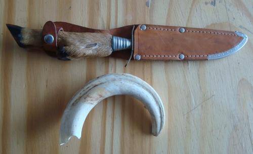 DAGGER AND WARTHOG TOOTH