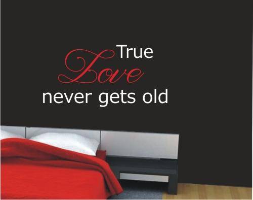 Vinyl Decal - True Love -  Romantic Quote - Wall Art