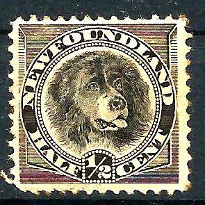 NEWFOUNDLAND 1894 M/MINT BEAUTIFUL STAMP