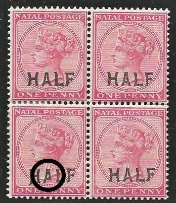 NATAL 1895 MLH BLOCK WITH SHORT `A` VARIETY SACC 108b - HIGH CV!
