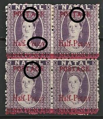 NATAL 1895 CHALON BLOCK MM WITH `PEUNY AND OTHER VARIETIES AS HIGHLIGTED - HIGH CV