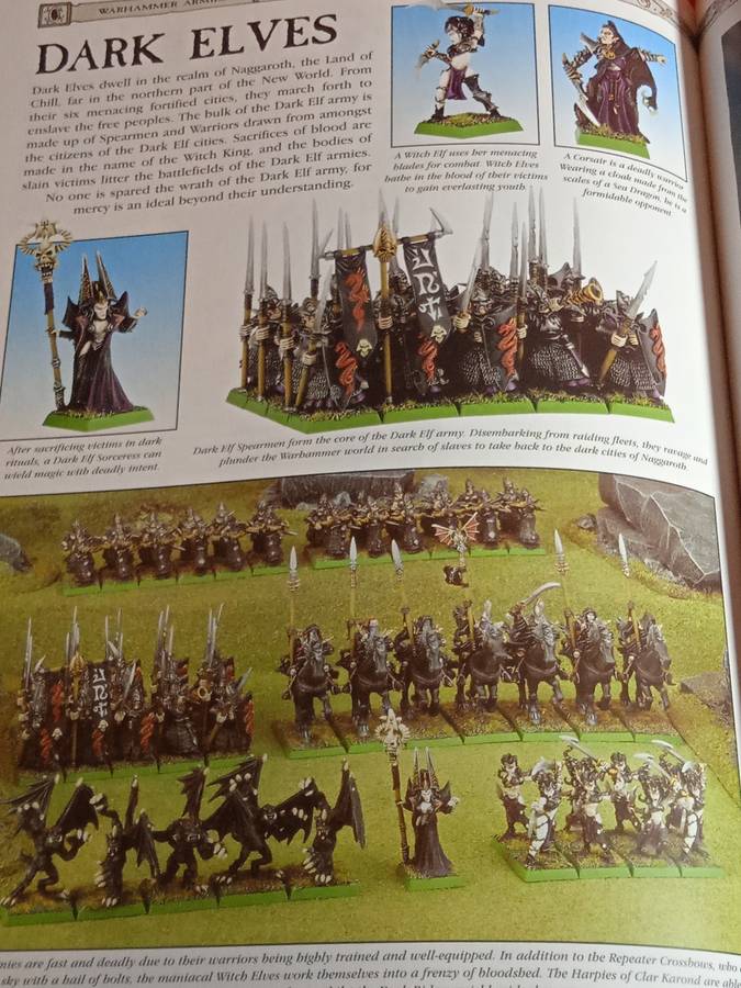 WARHAMMER THE GAME OF FANTASY BATTLES BOOK