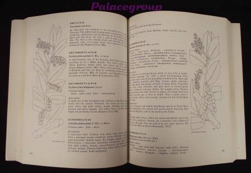 Food From The Veld - Edible Wild Plants Of Southern Africa, 400pg, Paperback, A4