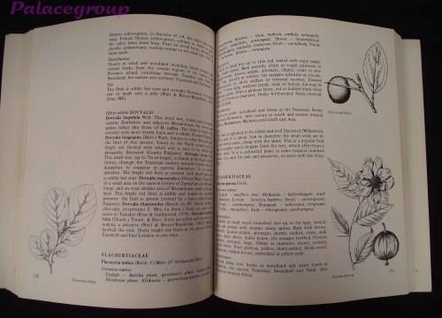 Food From The Veld - Edible Wild Plants Of Southern Africa, 400pg, Paperback, A4