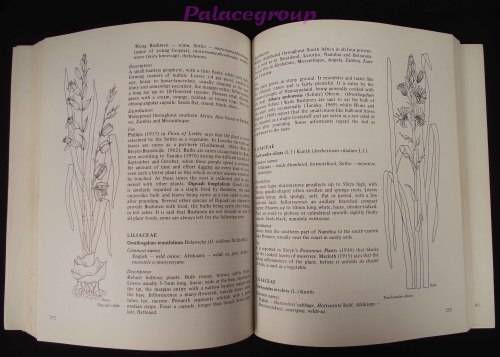 Food From The Veld - Edible Wild Plants Of Southern Africa, 400pg, Paperback, A4