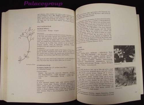 Food From The Veld - Edible Wild Plants Of Southern Africa, 400pg, Paperback, A4