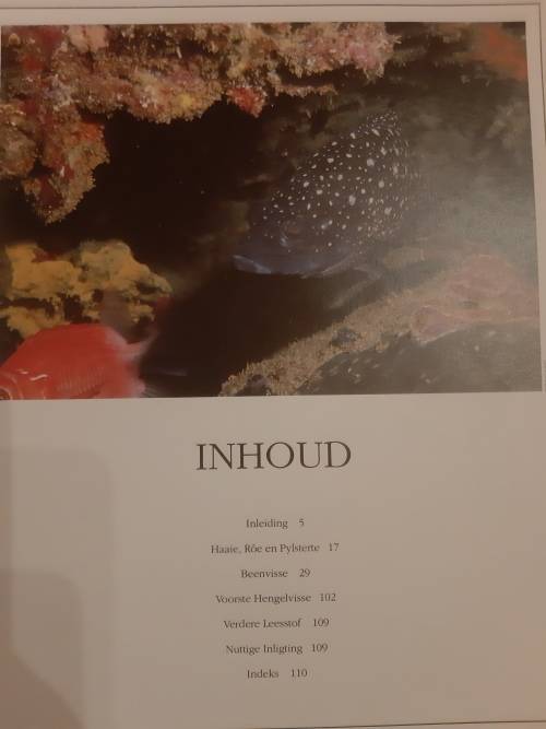 n Gids tot Seevisse van Suider-Afrika deur Rudy van der Elst (1990)