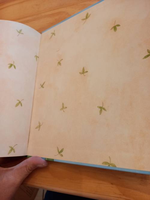 Klein Grillie Spinnekop - Kom, ons speel skool deur Diana Amft 2019