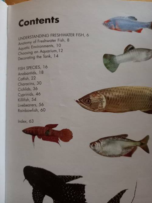 Fresh Water Aquarium FISH -A pocket Companion