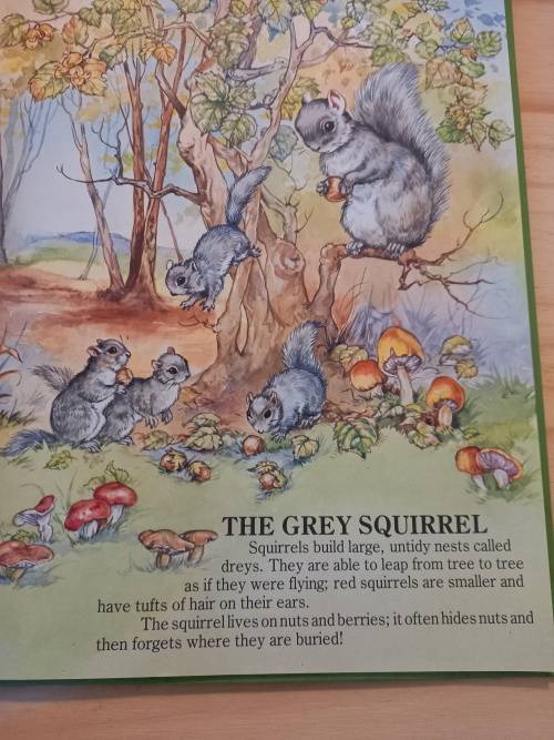 Bundel of 7 English Children's books age 5-8