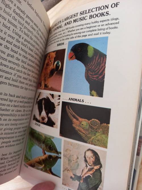 Taming and Training COCKATOOS by Risa Teitler